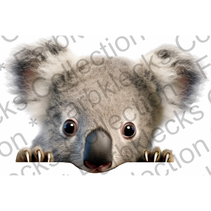 Motivtransfer 1171 Koala