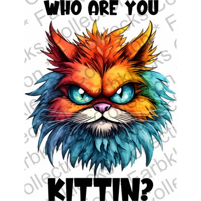 Motivtransfer 1714 Who are you Kittin