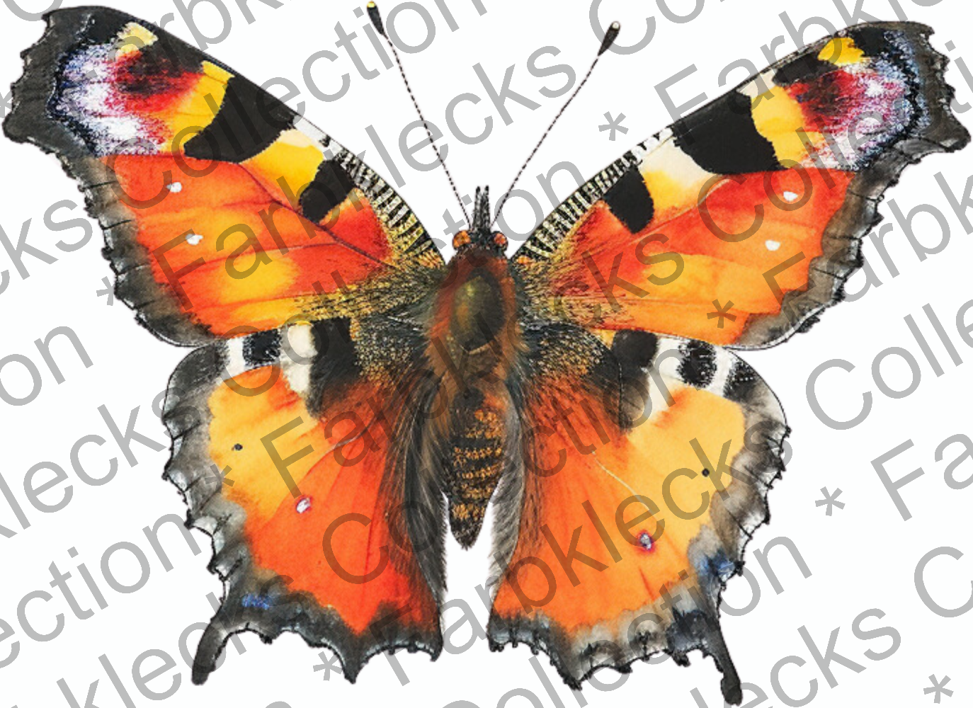 Motivtransfer 9738 Bunter Schmetterling